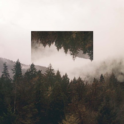 Framed Reflected Landscape I Print