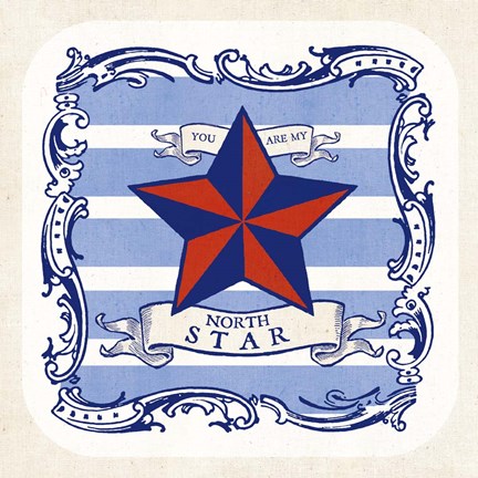 Framed On the Coast Border IV Print