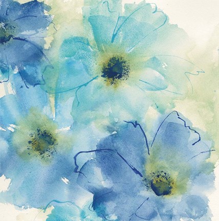 Framed Seashell Cosmos II Print