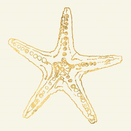 Framed Coastal Breeze Shell Sketches VI Print