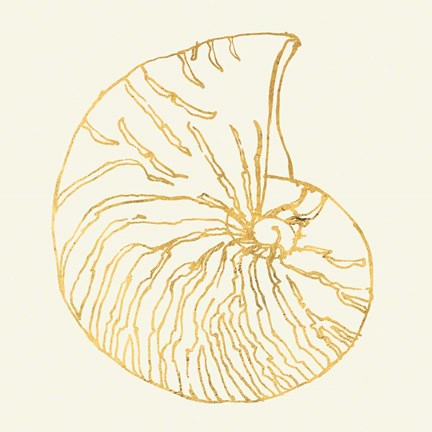 Framed Coastal Breeze Shell Sketches VII Print