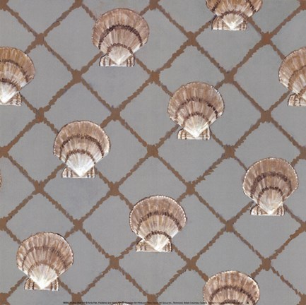 Framed Scallop Shell Net Print
