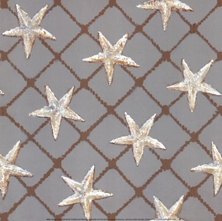 Framed Net Full of Stars Print