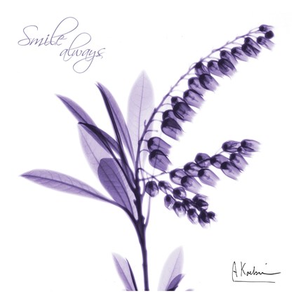 Framed Smile Always Print