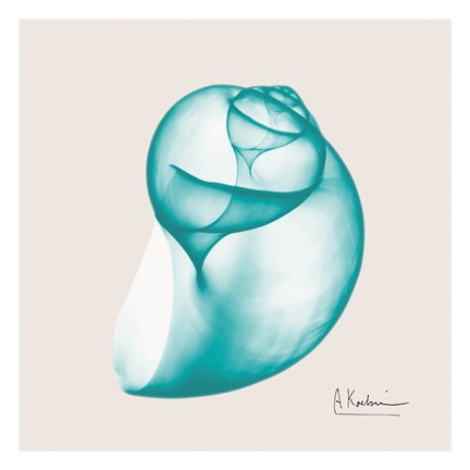 Framed Viridian Water Snail Print