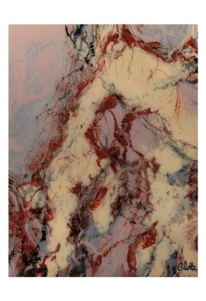 Framed Wide Variety of Poses Print