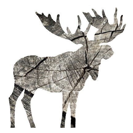 Framed Wood Moose White Print