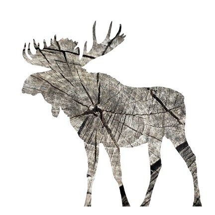 Framed Wood Moose White Mate Print