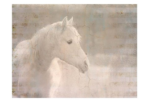Framed White Knight Serenity Print