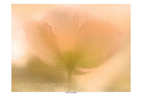 Framed Golden Poppy Print