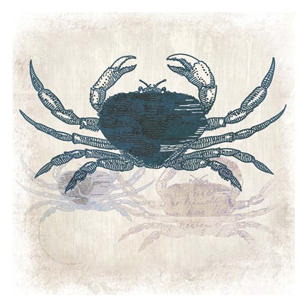 Framed Crab Coast Vision Print