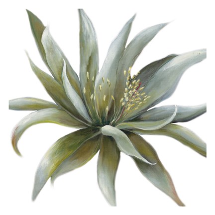 Framed Wonderous Rays Print