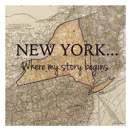 Framed New York Story Print