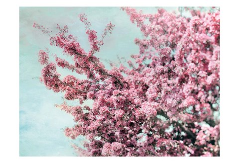 Framed Blossoming Spring Print