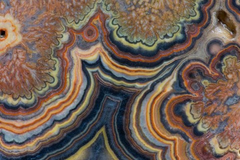 Framed Flowering Tube Onyx, Mexico 2 Print