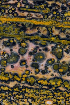 Framed Ocean Jasper from Madagascar 4 Print