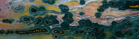 Framed Ocean Jasper from Madagascar 8 Print