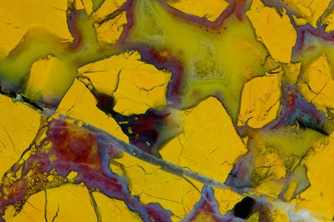 Framed California Jasper Print