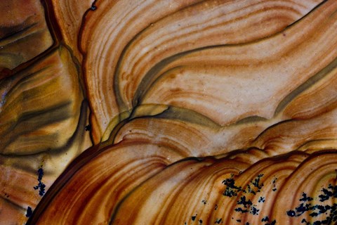 Framed Deschutes Jasper from Oregon Print