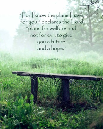 Framed Jeremiah 29:11 For I know the Plans I have for You (Wooden Bench) Print