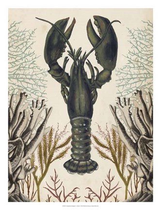 Framed Antiquarian Menagerie - Lobster Print