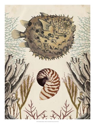 Framed Antiquarian Menagerie - Puffer Fish Print