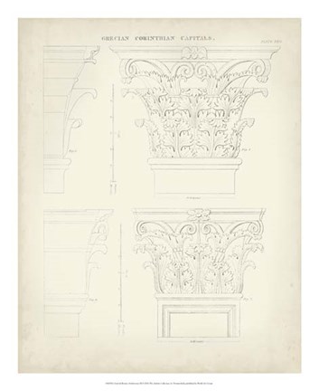 Framed Greek &amp; Roman Architecture III Print