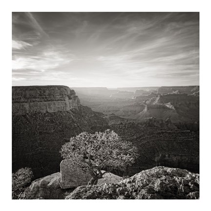 Framed Canyon Evening Print