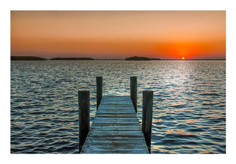 Framed Morning Glory Print
