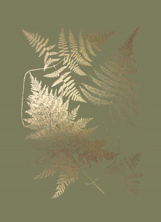 Framed Gold Foil Ferns III on Mid Green - Metallic Foil Print