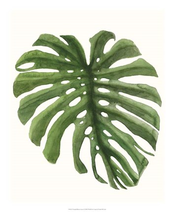 Framed Tropical Breeze Leaves I Print