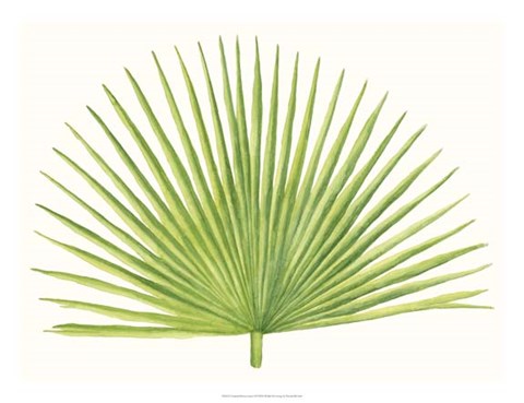 Framed Tropical Breeze Leaves III Print