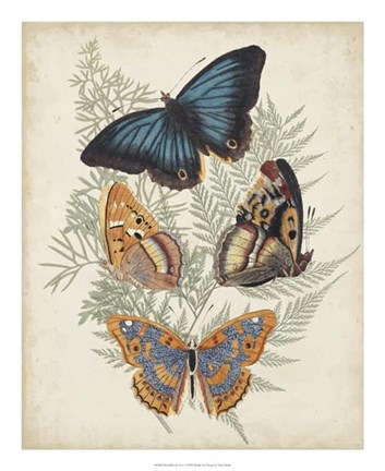 Framed Butterflies &amp; Ferns V Print