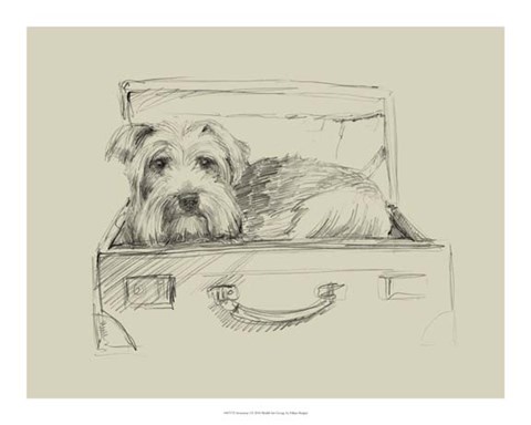 Framed Stowaway I Print