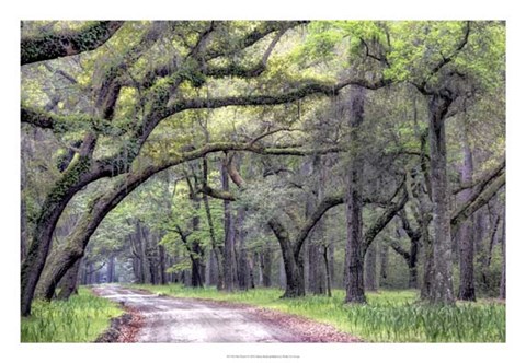 Framed Dirt Road I Print