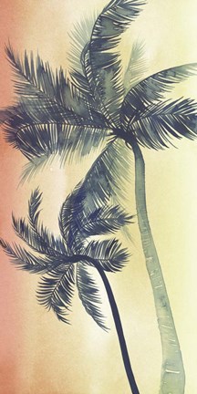 Framed Vintage Palms I Print