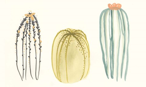 Framed Funky Succulents III Print