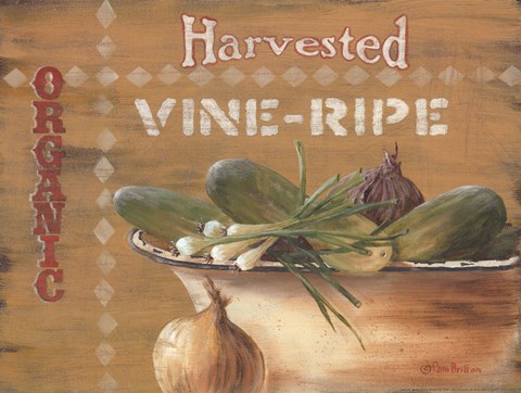 Framed Vine Ripe Print