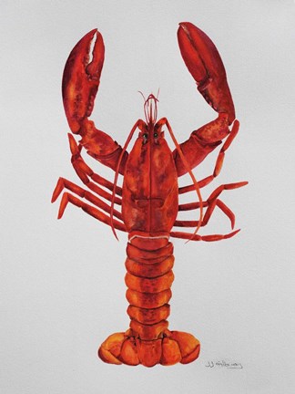 Framed Red Lobster Print