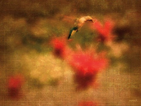 Framed Hummingbird Masterpiece II Print