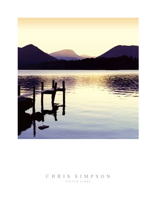 Framed Silver Light Print