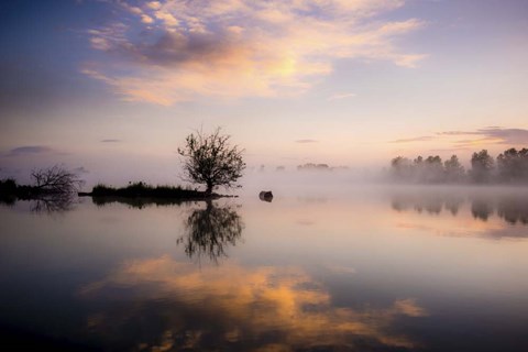Framed Evening Reflections Print