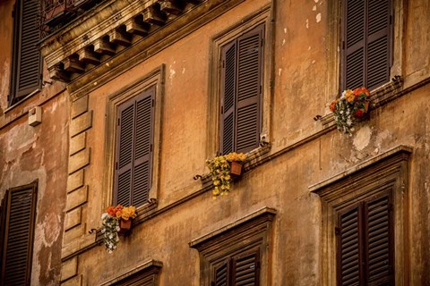 Framed Shutters Print