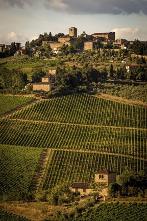 Framed Tuscany Vineyard 02 Print