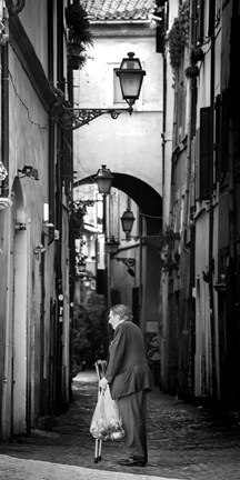 Framed Elder Ally Print