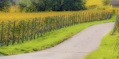 Framed Road along Fields Print