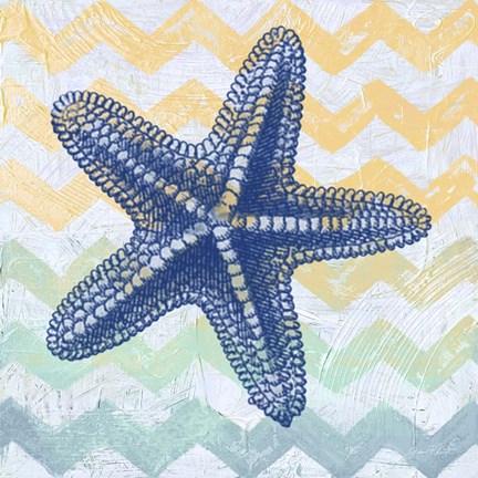 Framed Chevron Star Fish Print