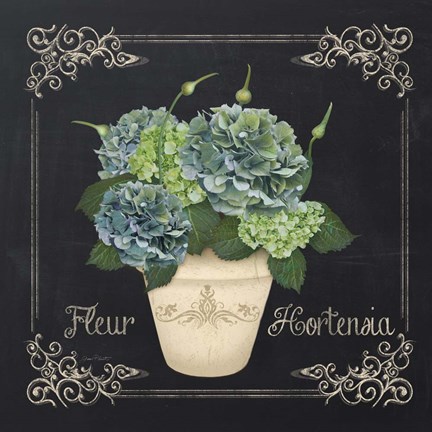Framed Fleur Hortensia Print
