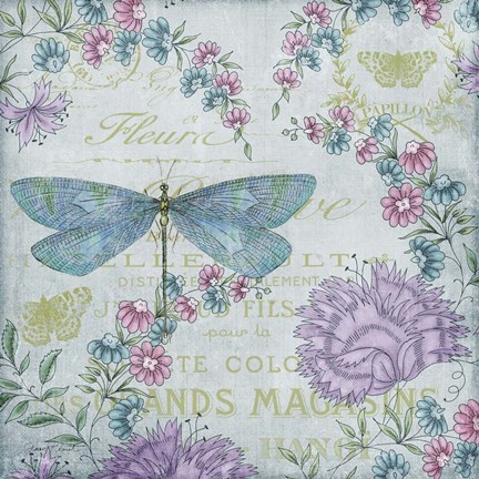 Framed Jardin De Luxe II Print