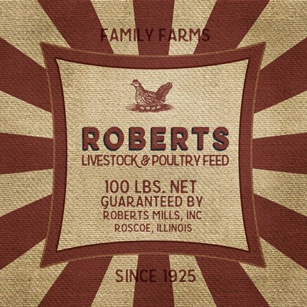 Framed Roberts Starburst Feed Sack Print